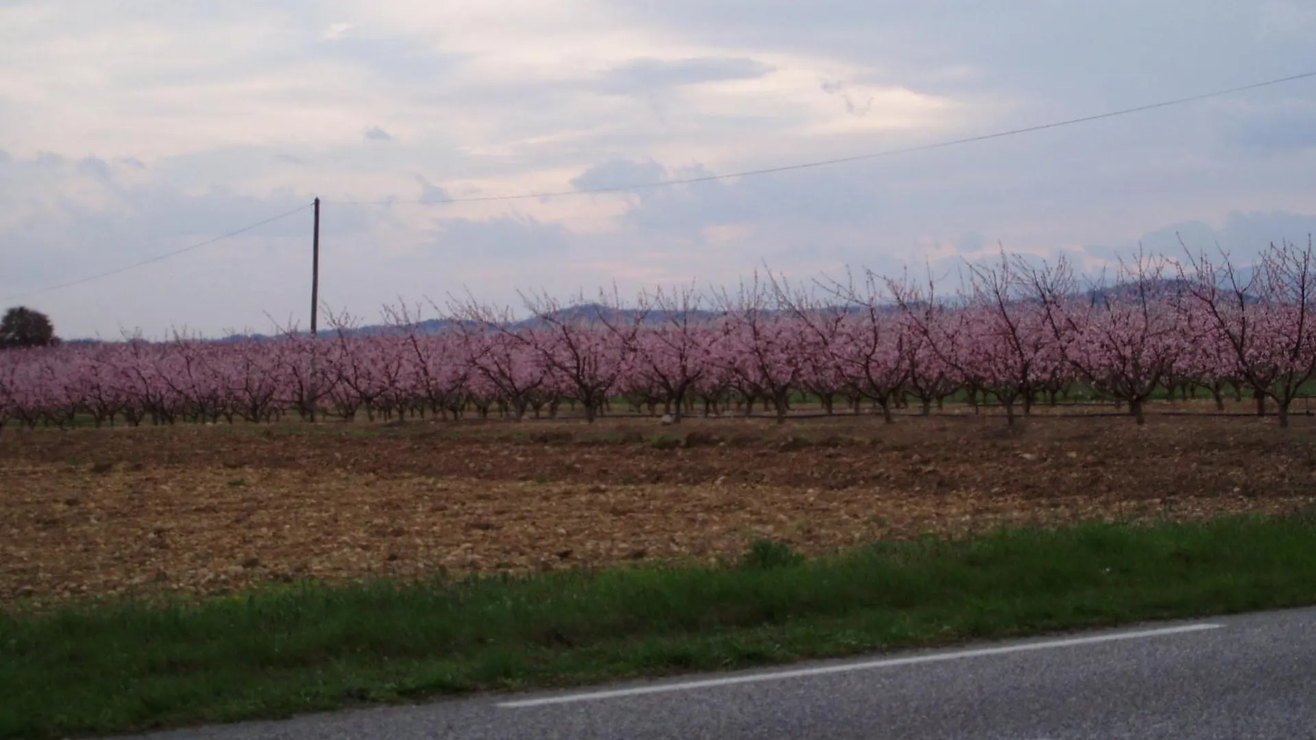 L\'Elie Sous Les Noyers, Le Gite location